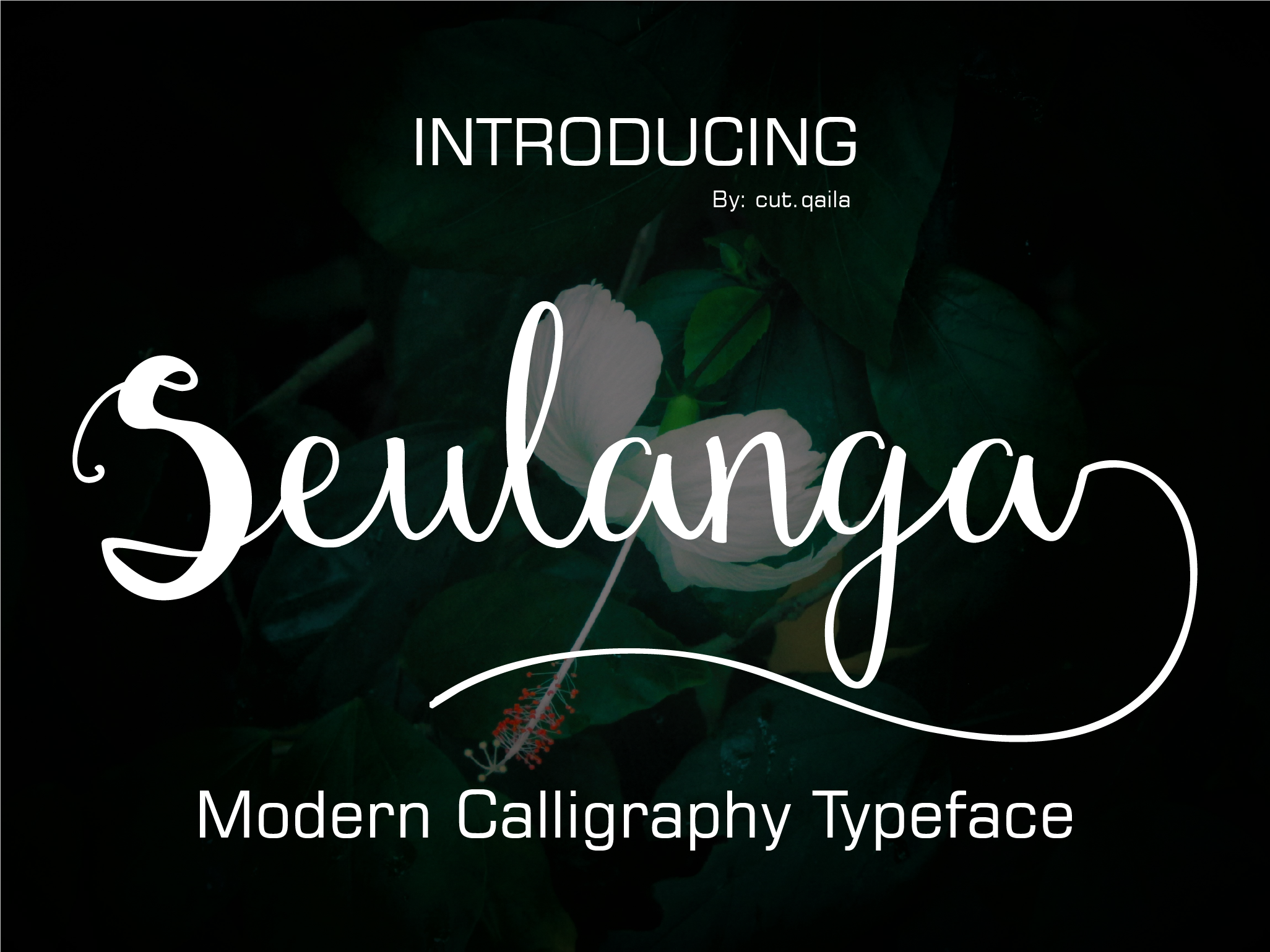 Seulanga Font