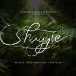 Shaggie Font Poster 1