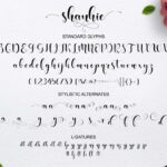 Shanhie Font Poster 4