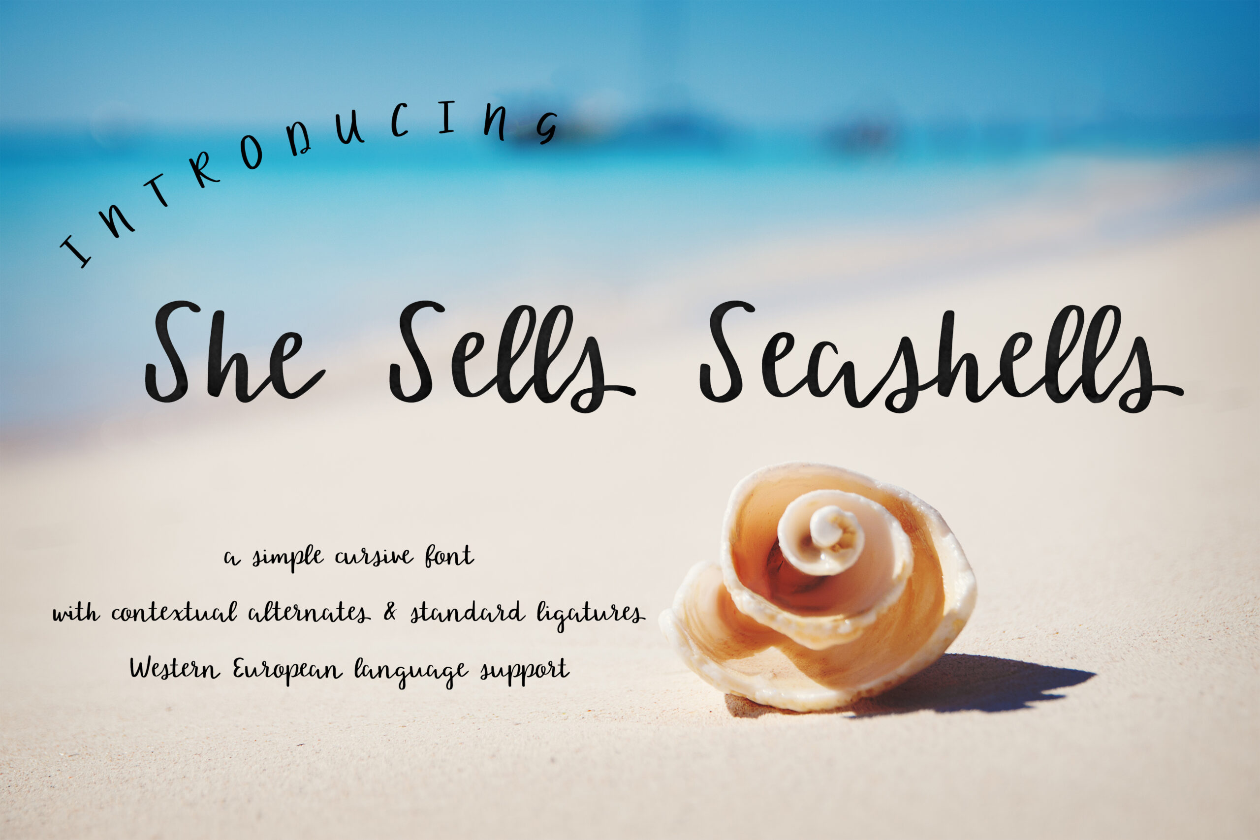 She Sells Seashells Font