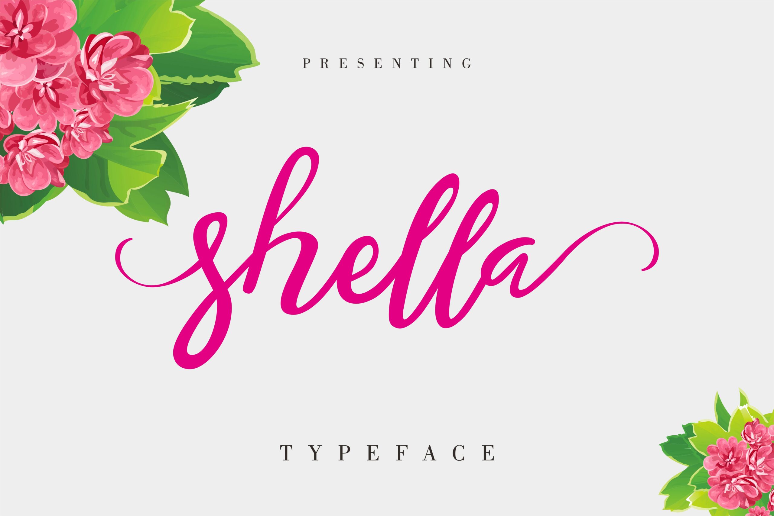 Shella Font Poster 1