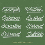 Shepia Script Font Poster 3