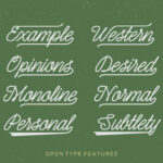 Shepia Script Font Poster 3