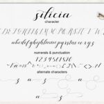 Silicia Font Poster 5