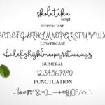 Skolateka Font Poster 8