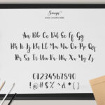 Sonya Script Font Poster 2