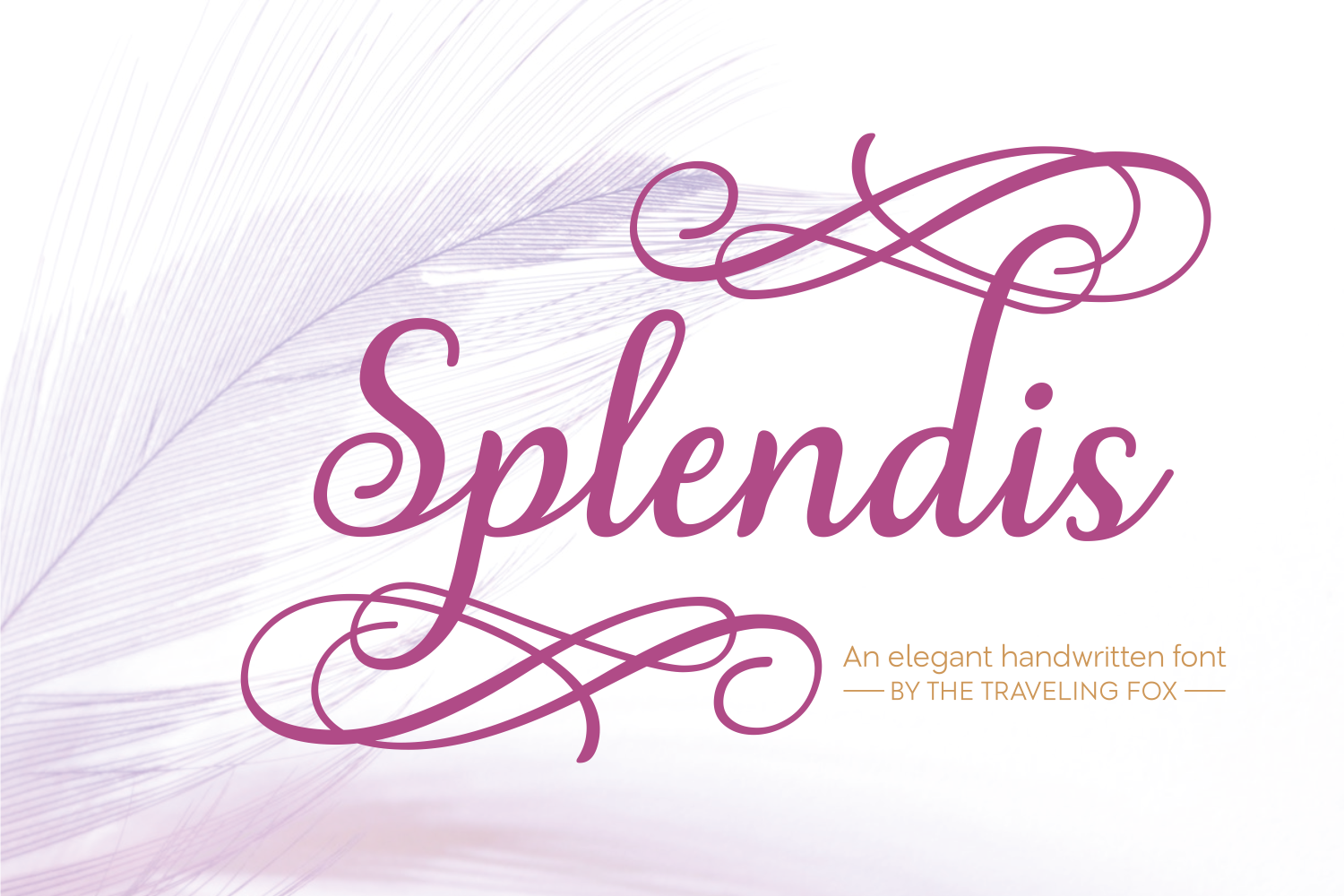 Splendis Font