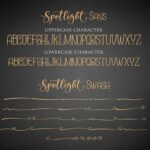 Spotlight Font Poster 11