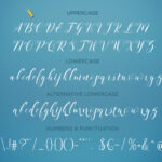 Starina Font Poster 5