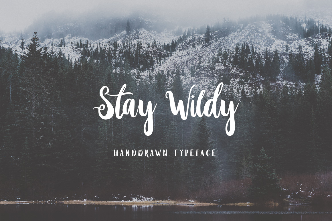 Stay Wildy Font Poster 1