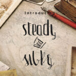 Steady & Silky Font Poster 1