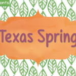 Texas Spring Font Poster 1