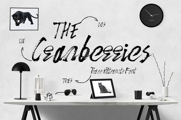 The Cranberries Font Poster 1