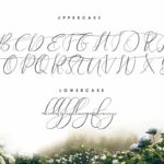 Theodoria Font Poster 13