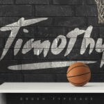 Timothy Font Poster 1