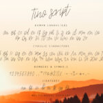 Tino Script Font Poster 5