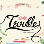 Trouble Font Poster 1