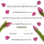 Tulip Garden Script Font Poster 4