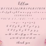 Vellesa Script Font Poster 5