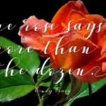 Vellesa Script Font Poster 6