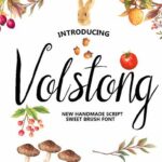 Volstong Font Poster 1