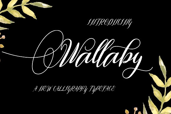 Wallaby Font Poster 1