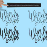 Wanda Script Font Poster 6