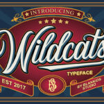 Wildcats Font Poster 1