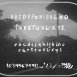 Willensia Font Poster 4