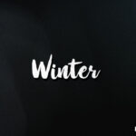 Winter Brush Font Poster 1