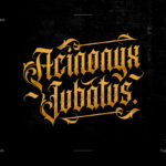 Acinonyx Jubatus Font Poster 3
