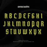 Avenacuastra Font Poster 10