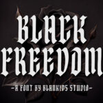 Black Freedom Font Poster 3