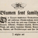 Blumen Font Poster 3