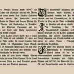 Blumen Font Poster 8