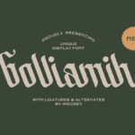 Bolliamih Font Poster 3