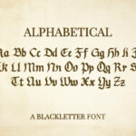 Books Vhasenti Font Poster 5