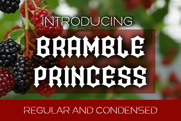 Bramble Princess Font Poster 1