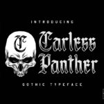 Carless Panther Font Poster 3