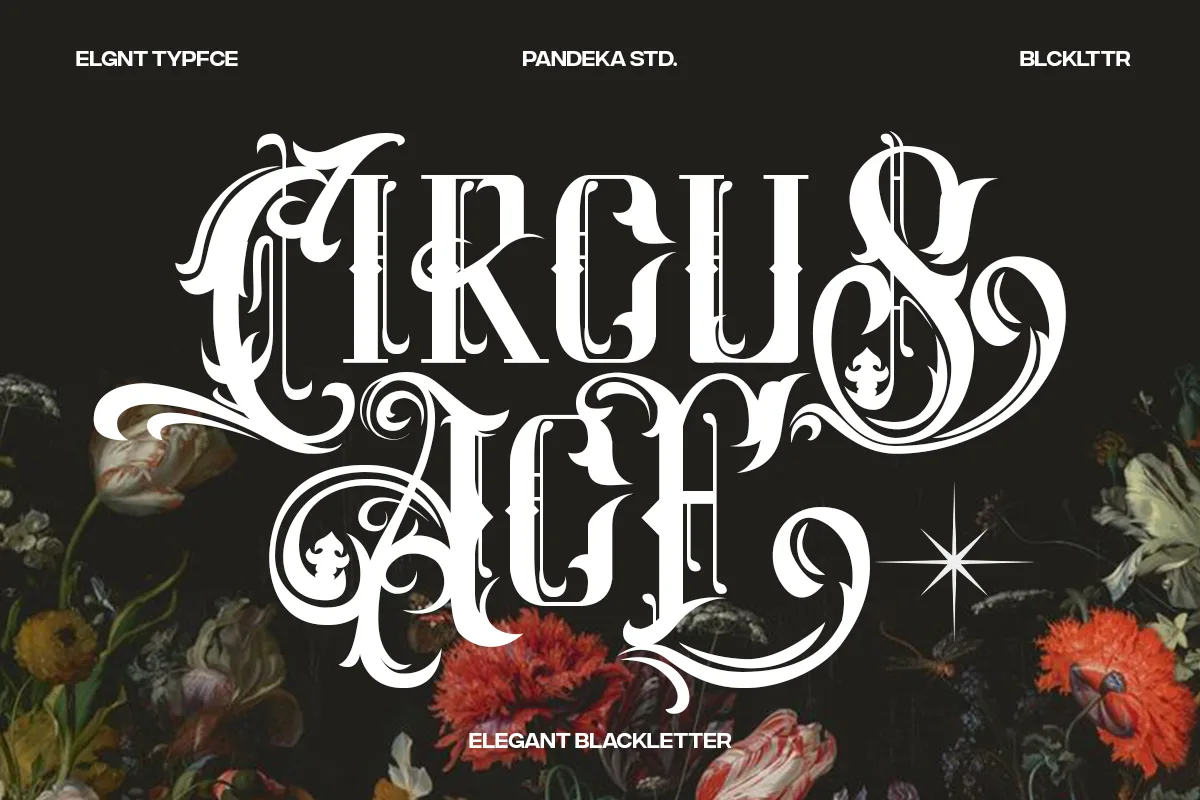 Circuse Age Font Circuse Age Font Poster 1