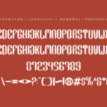 Crazy Design Font Poster 7