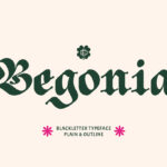 ED Begonia Font Poster 3