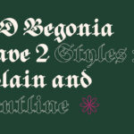 ED Begonia Font Poster 5