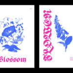 ED Begonia Font Poster 9