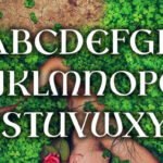 Ever Font Poster 6