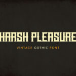 Harsh Pleasure Font Poster 3