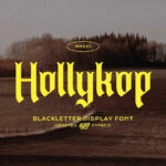 Hollykop Font Poster 3
