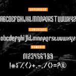 Impermanence Font Poster 10