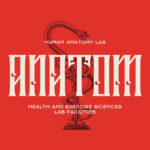 Liberok Font Poster 6