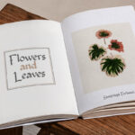 Love Series Font Poster 6